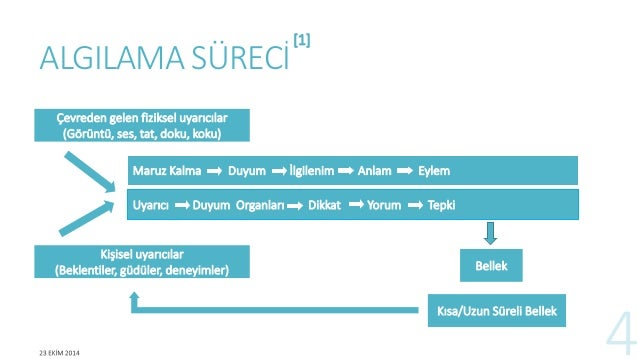 Algılama ve algılama Algılama ve algılama